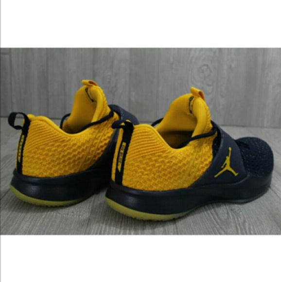 jordan trainer 2 flyknit michigan